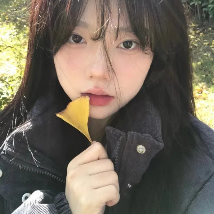 隼鹰 封面
